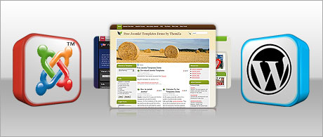 Charge-free web site skins